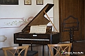 VBS_6595 - Villa Pisani - Stra (Venezia)